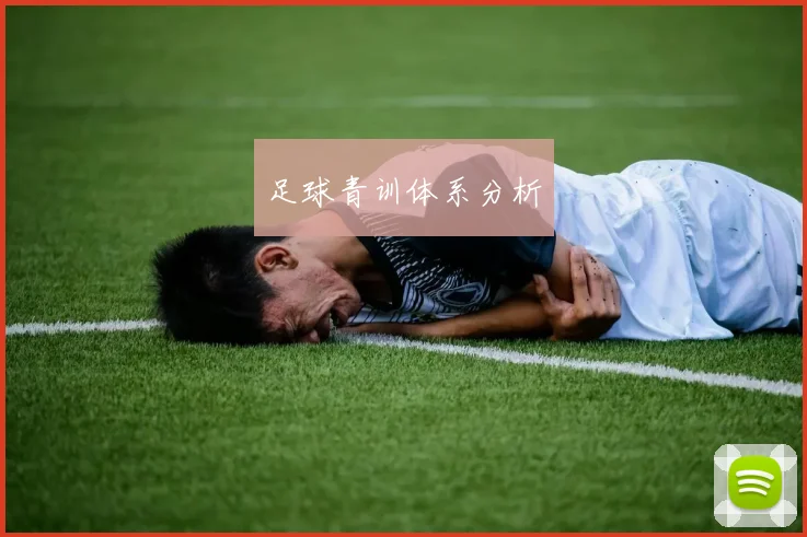 足球青训体系分析