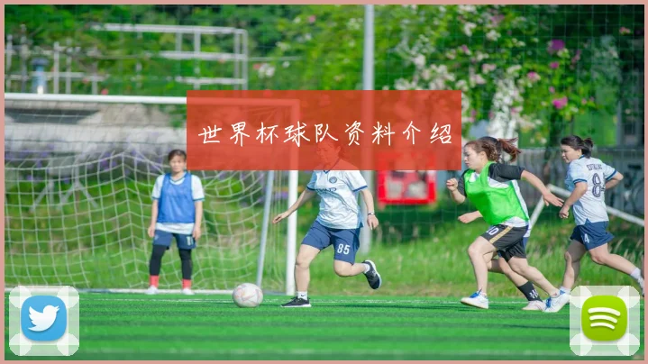 世界杯球队资料介绍