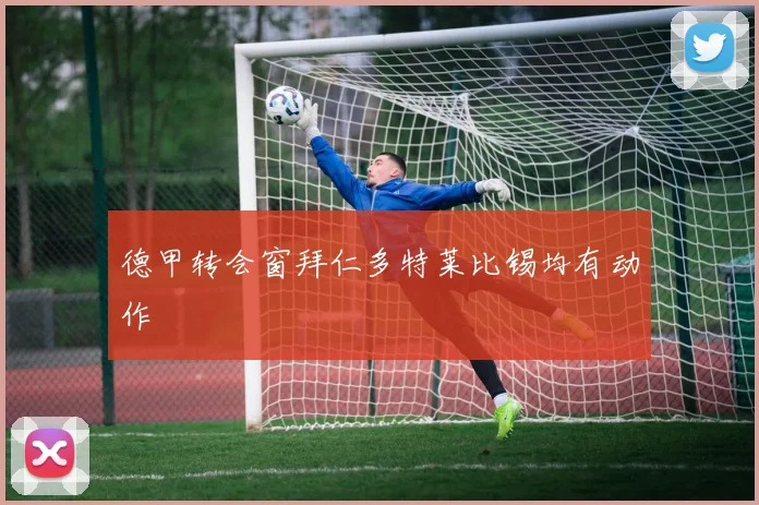 德甲转会窗拜仁多特莱比锡均有动作